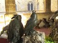IBargello a Firenze