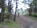 dirt molda 2 dirt molda 2