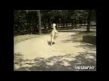Llama empuja a reportero a pozo de agua