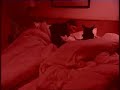 Die Ärzte-In bed with Rod xD Die Ärzte-In bed with Rod xD