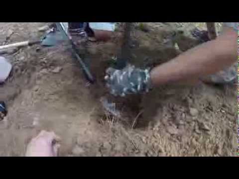 HUGE CACHE !!! Found in Texas