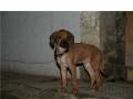 videos de Django_0001.wmv