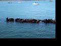 Seals
