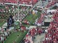 UGA Vs. UT