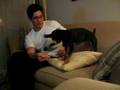 videos de Tiki B humping menora toy1
