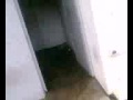 Tag Provocateur à Chambon Feugerolles Allée Des Sorbiers 002