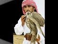Fazza3 Fazza3