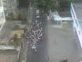 Vel�rio do Na�tico