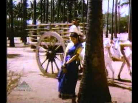 Puthu Naellu Puthu Naaththu   Karuththa Machan Kazhlzhathanam Puthu Naellu Puthu Naaththu   Karuththa Machan Kazhlzhathanam