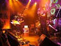 Steve Hillage: Palm Trees ( Love guitar ) Version 2009
