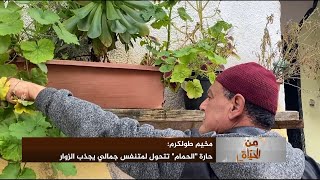 مخيم طولكرم: حارة