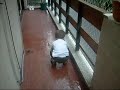 Ratonavaro-Max en el balcon de casa