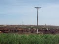 Texas Feedlot