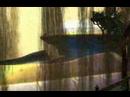 Dry Dock Final Fantasy X Dry Dock Final Fantasy X