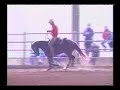 M.Piazzi e Demon Top Snap CA 71,5 (C� Antinori QH)