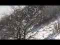 North Carolina Backcountry Snowboarding - 02-23