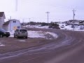 Herd of caribou on Fogo Island