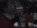 Plantas en el ecosistema