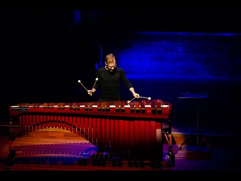 マリンバ マレット Robert Van Sice セット Vic Firth Robert van Sice