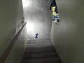 The adventures of Super salamender #3 The adventures of Super salamender #3
