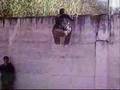 Le parkour itapevi