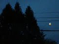Early Morning Moon :)