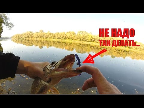 джиг видео торрент джиг видео торрент