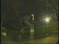 ambivalence 2002