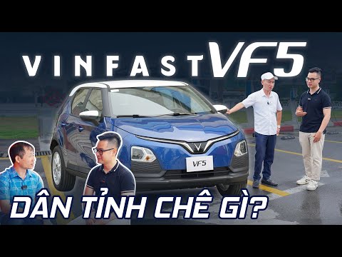 VinFast VF 5: Các chủ xe 