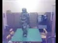 Bundesheer Shuffle