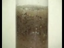 Retentores de agua del TerraCottem