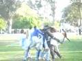 el cele a semi`s