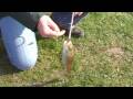 Disgorger Fast Hook Release 2