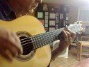 camaron canti�as acompa�amiento