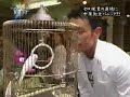cyril takayama   china town dove magic
