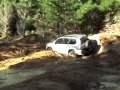 Toyota Prado at Jeep 4x4 Track in Woodhill