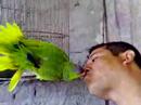Petunia dandole beso de lenguita Petunia dandole beso de lenguita
