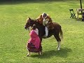 Marinera Sacachispas con los dientes y a Caballo (Parte III)