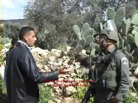 زب اسرائيلى