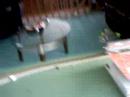 HO scale Amtrack diesal