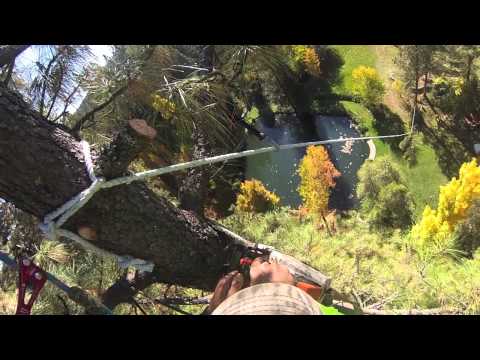 how to attach a zip line to a tree