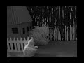 Floss - Stop Frame Animation