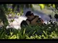 ''CRISTIAN SANDOVAL'' INTERPRETA ''GENESIS'',MUSICA CLASICA, PIANO ROMANTICO,CLASSIC MUSIC.