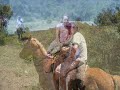 Cabalgatas en San Martin de los Andes, horse riding in Patagonia. Lanin Turismo