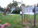 cricker catch
