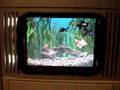 5 Fish Tank inside my PC