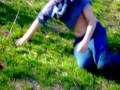 videos de Grapehead