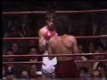 RAFAEL HERRERA VS RUBEN EL PUAS OLIVARES