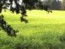 On the Hiking Trail (pt. 14): THE VAST TER WORM ESTATE