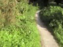On the Hiking Trail (pt. 14): THE VAST TER WORM ESTATE